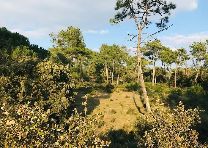 Semesterbostad Maison De L'ocean, Convivialite Et A 300m *